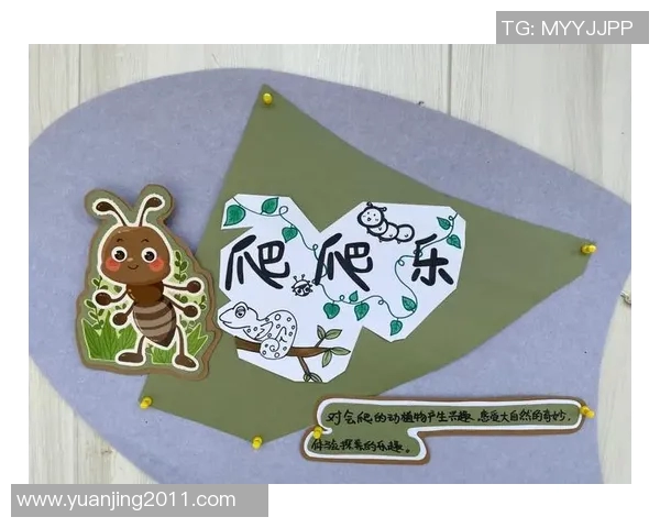 探索大自然的奥秘：一场充满冒险与挑战的户外活动全攻略