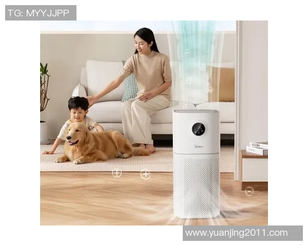 空气净化器在现代家庭中的应用与选择指南，提升室内空气质量的有效方法