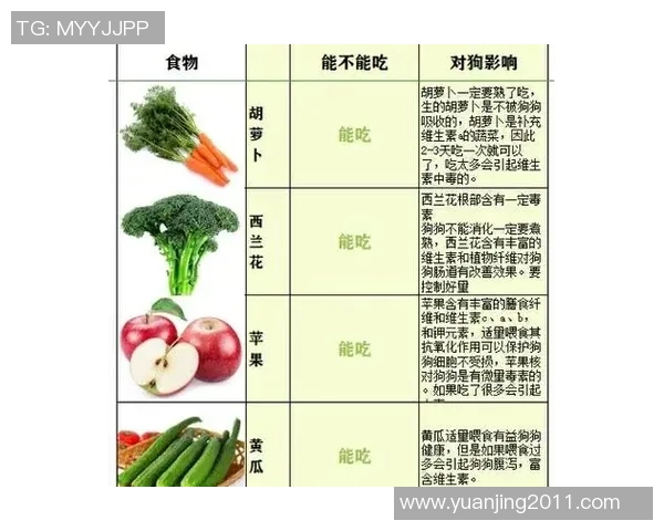 水果蔬菜的营养秘密与健康搭配:打造均衡饮食的最佳选择 水果蔬菜的营养秘密与健康搭配:打造均衡饮食的最佳选择