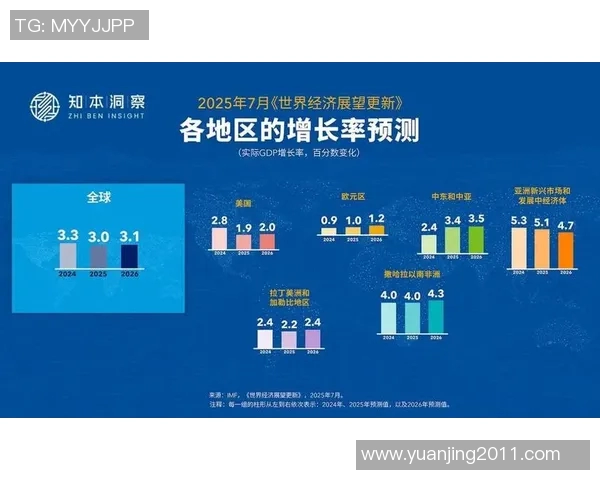 全球经济形势下的投资机会与风险解析，如何在不确定环境中稳步前行
